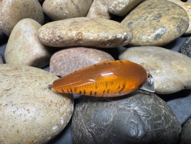 .5 Square Bill Orange Gill