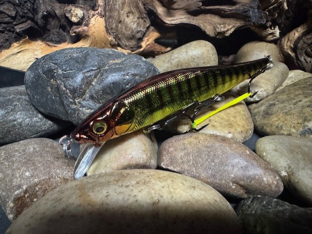 110 Green Sided Brown Barred Chrome Perch Jerkbait