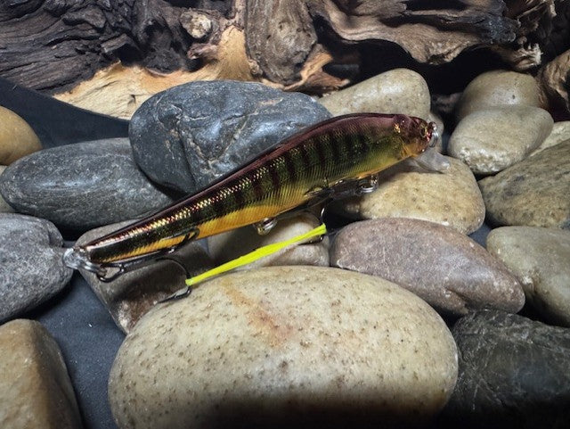 110 Green Sided Brown Barred Chrome Perch Jerkbait