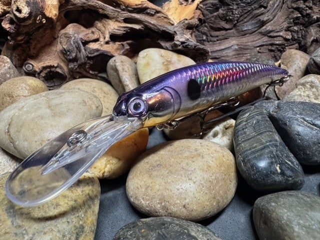 Dead Eye Crank Bait D$ Purple Shad