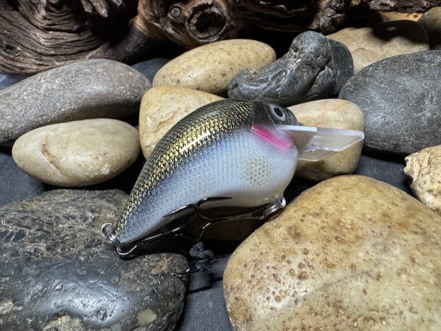 Square Bill Scrank Silver Shiner