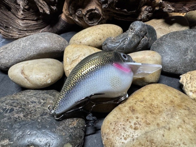 Square Bill Scrank Silver Shiner