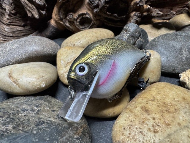 Square Bill Scrank Silver Shiner
