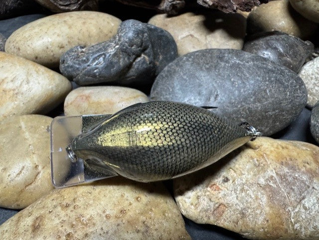 Square Bill Scrank Silver Shiner