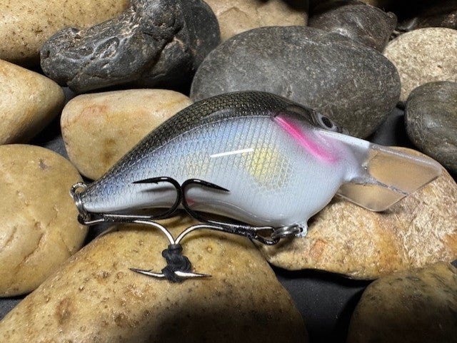 Square Bill Scrank Silver Shiner