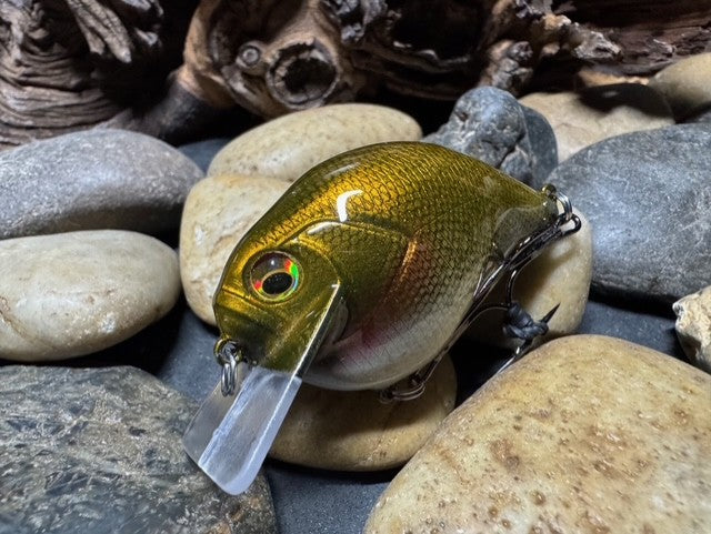 Square Bill 1.5 Scrank Golden Shiner