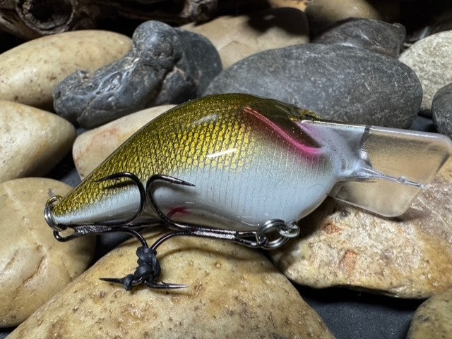 Square Bill 1.5 Scrank Golden Shiner