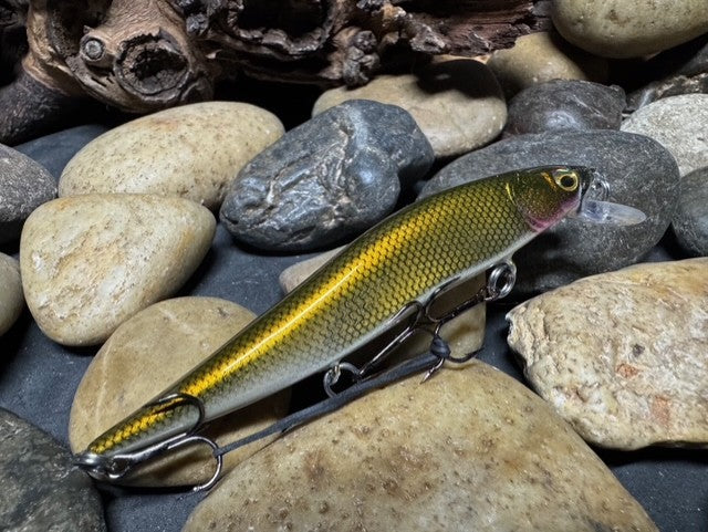 110 Jr. Golden Shiner Jerkbait