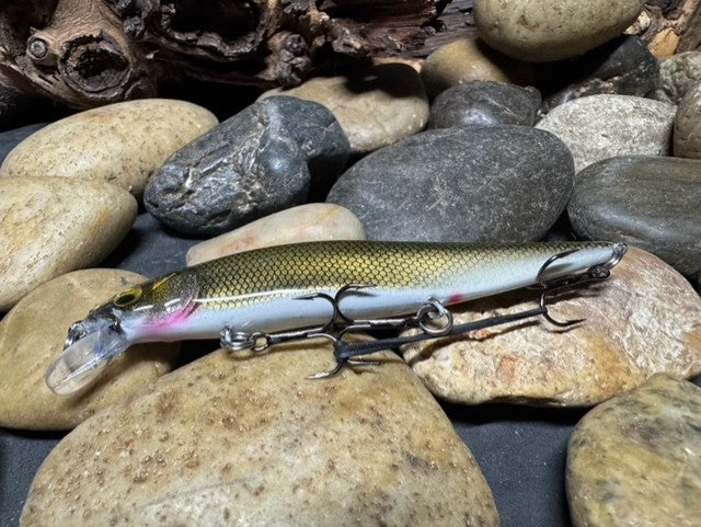 110 Jr. Golden Shiner Jerkbait
