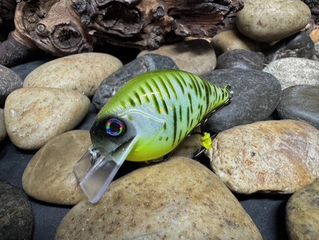 Square Bill Scrank Foil Gill