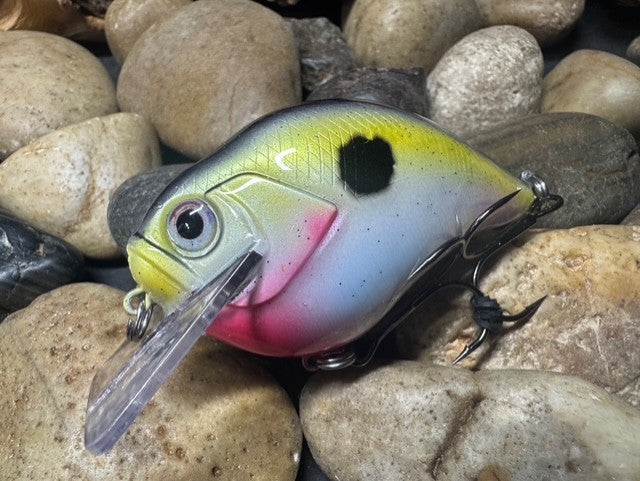 Square Bill 2.0 Scrank Natural Shad