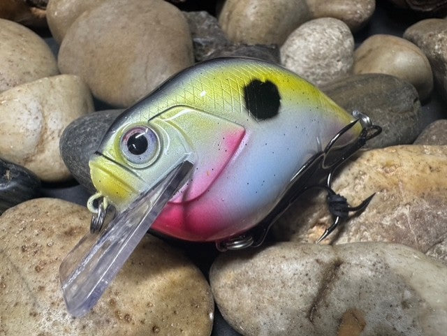 Square Bill 2.0 Scrank Natural Shad
