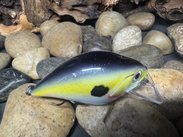 Square Bill 2.0 Scrank Natural Shad