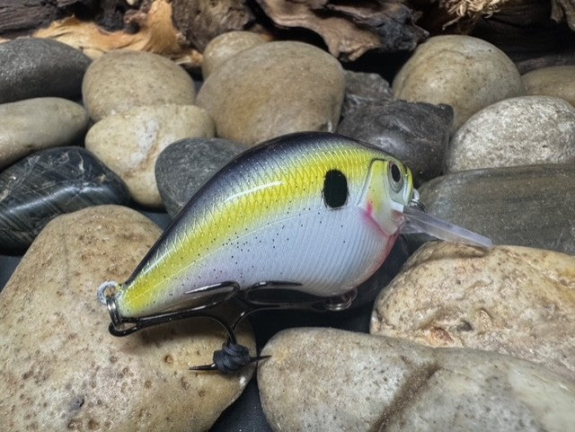 Square Bill 1.5 Scrank Natural Shad