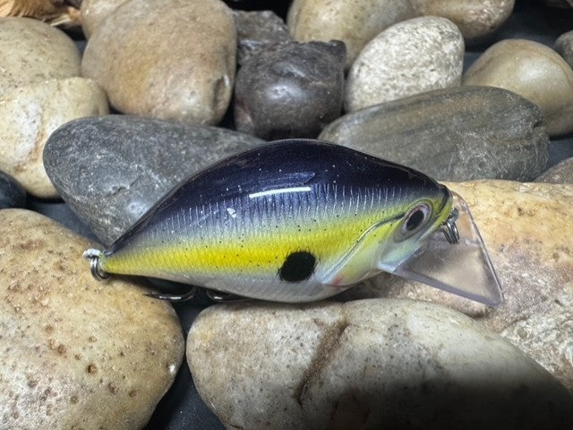 Square Bill 1.5 Scrank Natural Shad