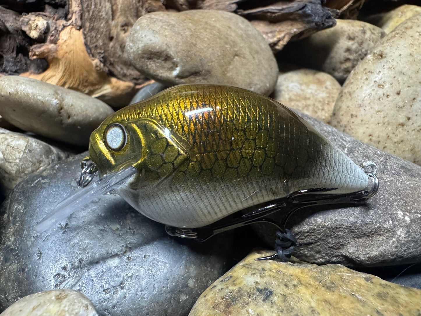 Square Bill 1.5 Scrank Walleye