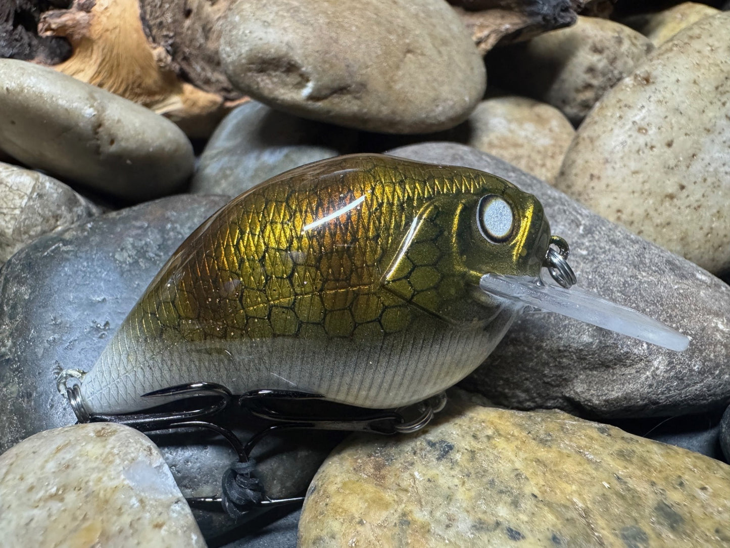 Square Bill 1.5 Scrank Walleye