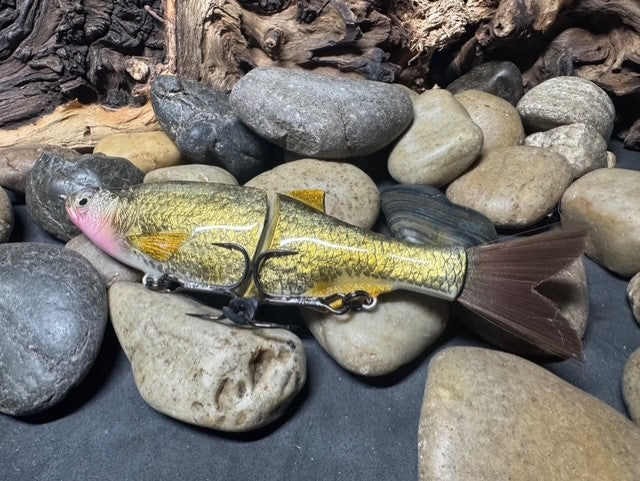 6" Swim Shad Golden Shiner