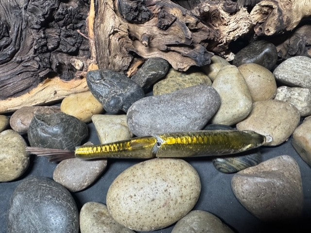 6" Swim Shad Golden Shiner