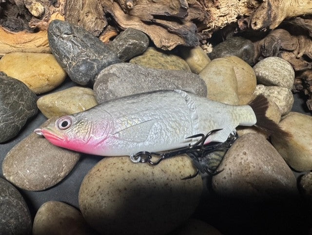 6" Swim Shad Silver Shiner