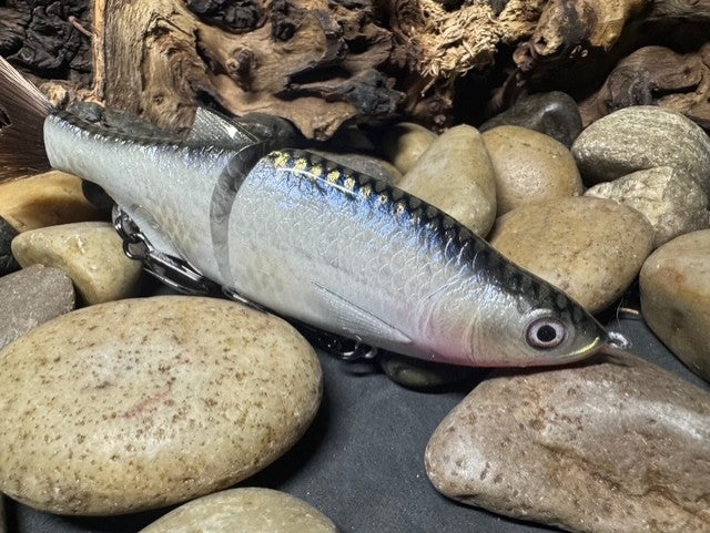 6" Swim Shad Silver Shiner