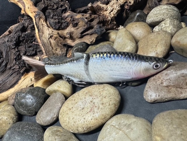 6" Swim Shad Silver Shiner
