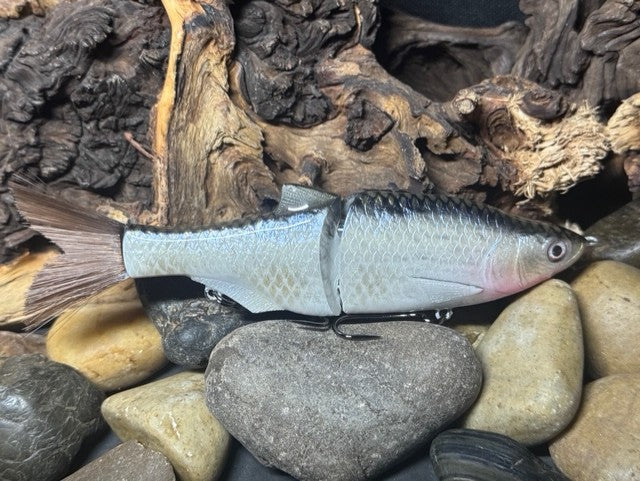 6" Swim Shad Silver Shiner