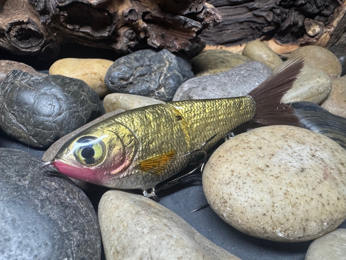 5" Swim Shad Jointed Glide Bait Gold Shiner