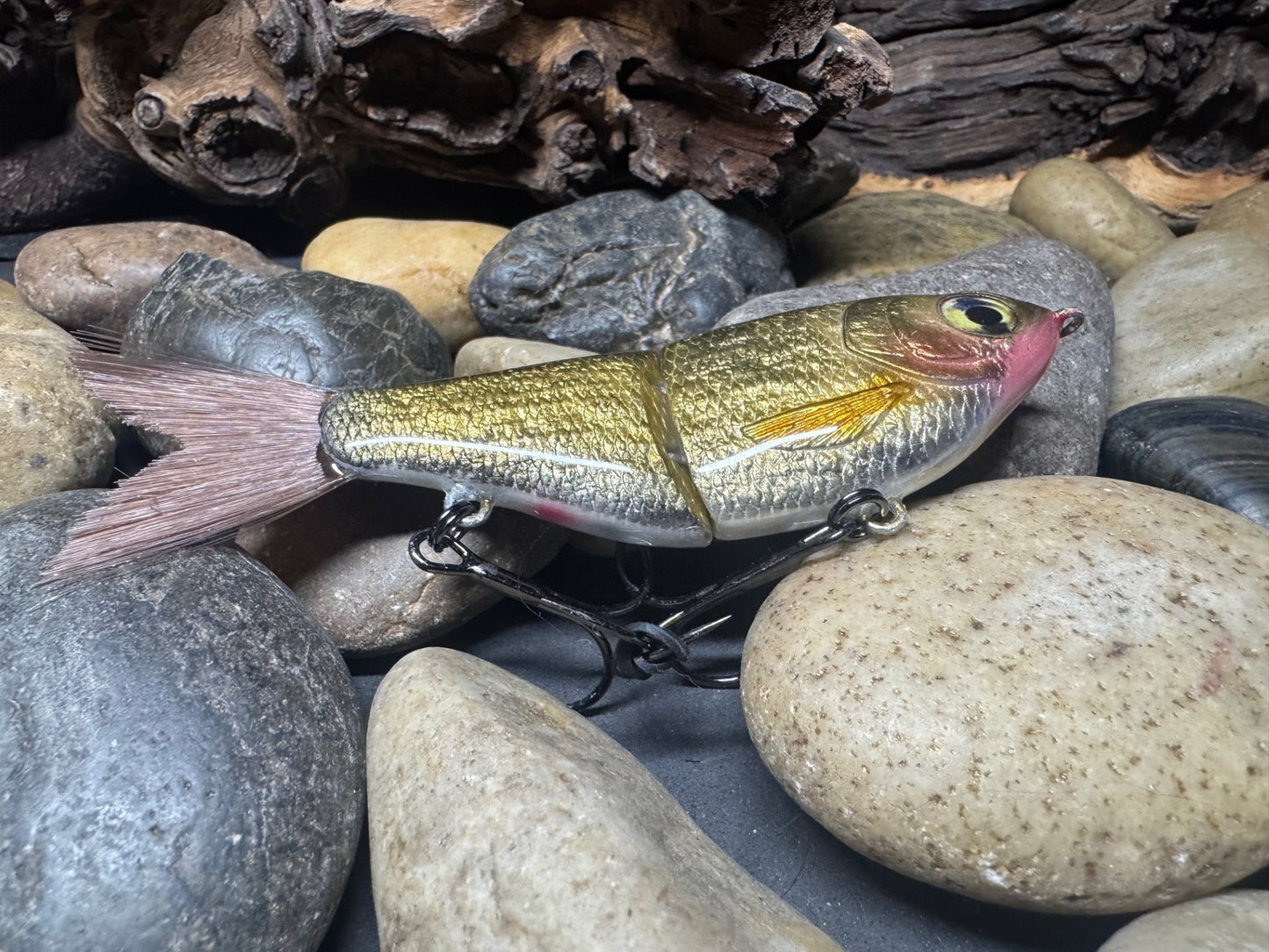 5" Swim Shad Jointed Glide Bait Gold Shiner
