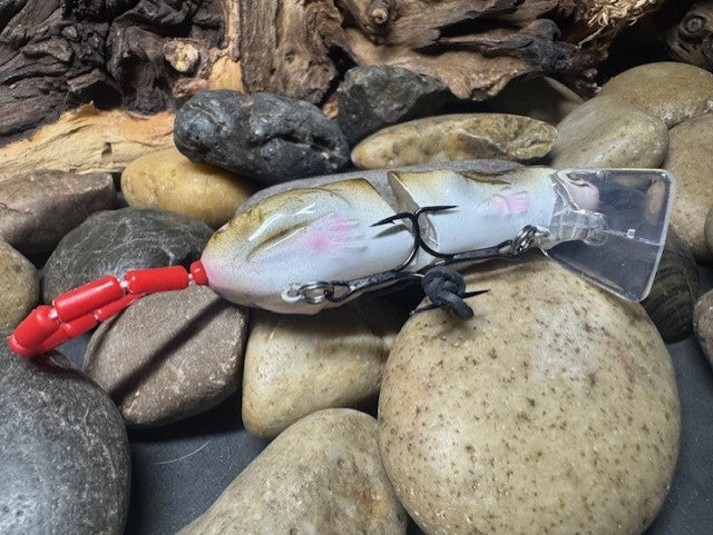 Rat Wake Bait White Belly