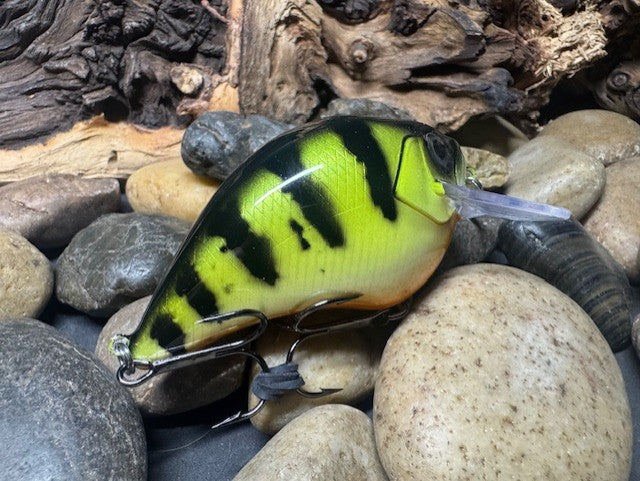 Square Bill 2.0 Scrank Candy Perch