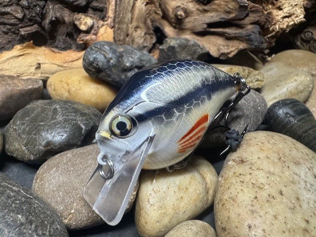 Square Bill 1.5 Scrank Creek Chub