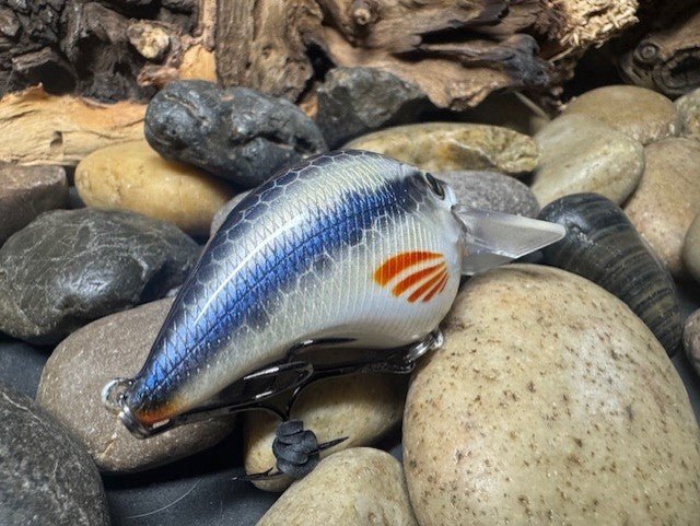 Square Bill 1.5 Scrank Creek Chub