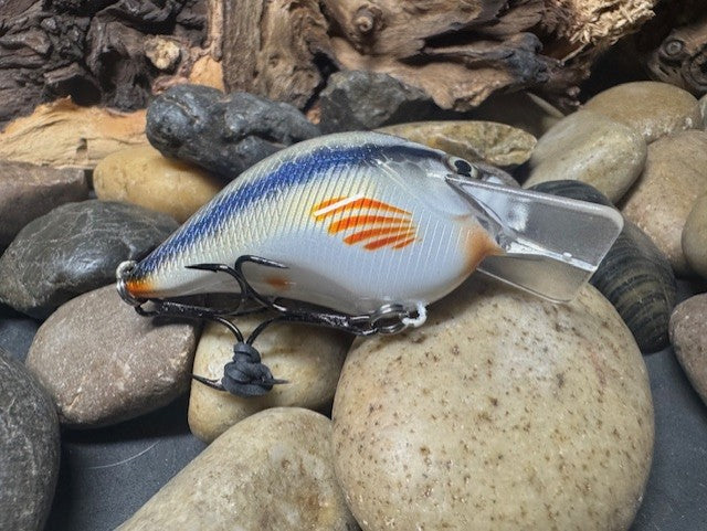 Square Bill 1.5 Scrank Creek Chub
