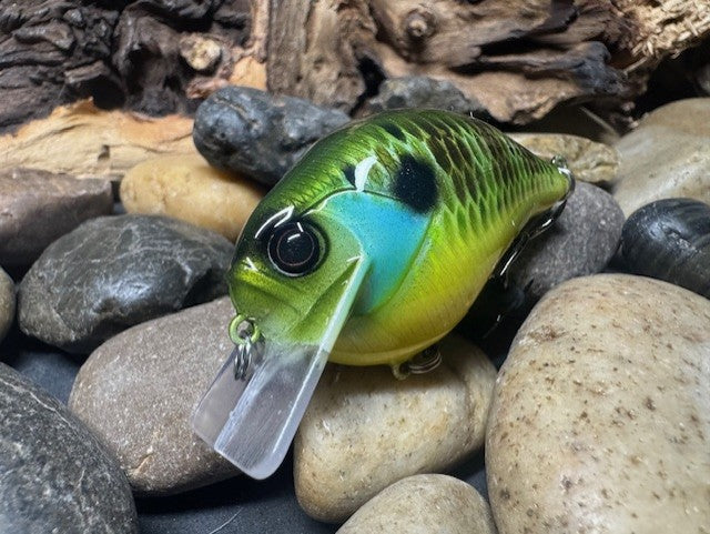 Square Bill 1.5 Scrank Blewie (Limited Qty)