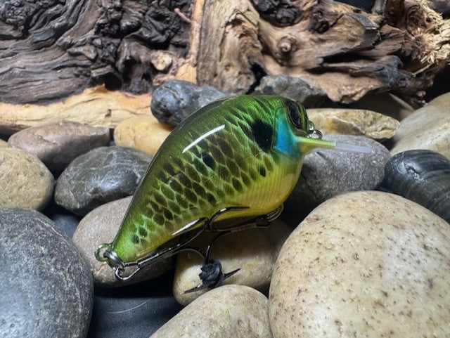 Square Bill 1.5 Scrank Blewie (Limited Qty)