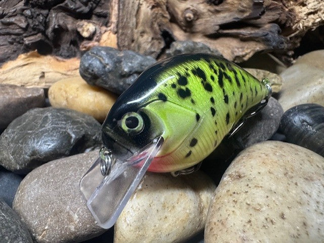Square Bill 1.5 Green Crappie 2.0