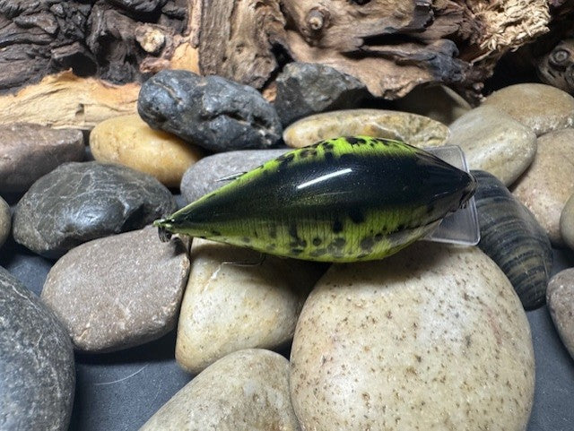 Square Bill 1.5 Green Crappie 2.0