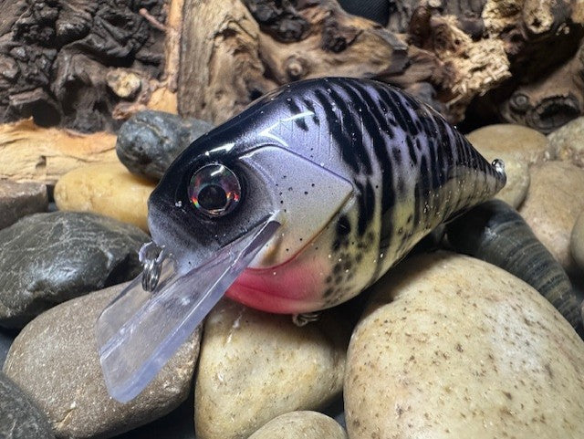 Square Bill 2.0 Scrank Purple Crappie (Heavy Silver Glitter)