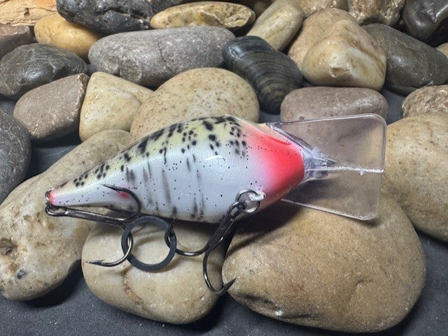 Square Bill 2.0 Scrank Purple Crappie (Heavy Silver Glitter)
