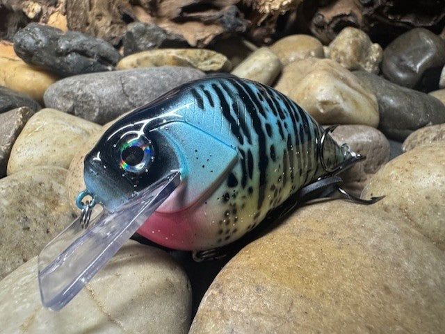 Square Bill 2.0 Scrank Blue Crappie (Heavy Silver Glitter)