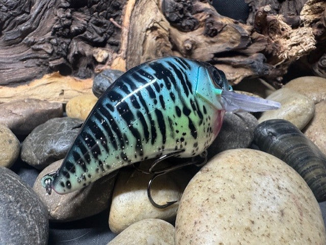 Square Bill 2.0 Scrank Blue Crappie (Heavy Silver Glitter)
