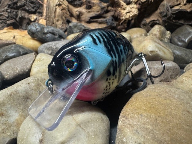 Square Bill 2.0 Scrank Blue Crappie (Light Silver Glitter)