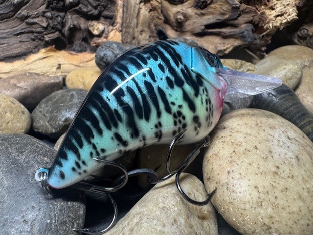 Square Bill 2.0 Scrank Blue Crappie (Light Silver Glitter)