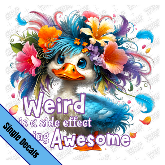 Weird is..Awesome Duck