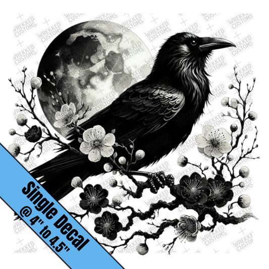 Raven
